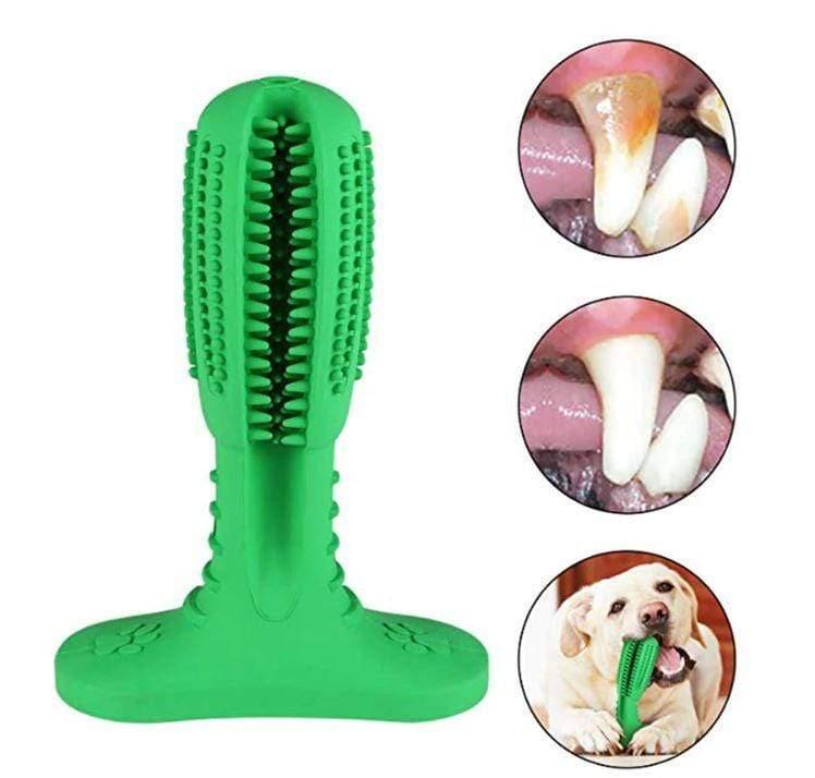 Escova de Dentes Massageadora para Cães - Caixa Favorita