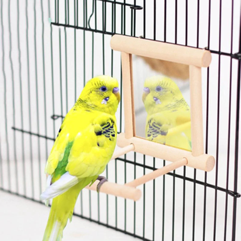 Espelho para Aves - Caixa Favorita