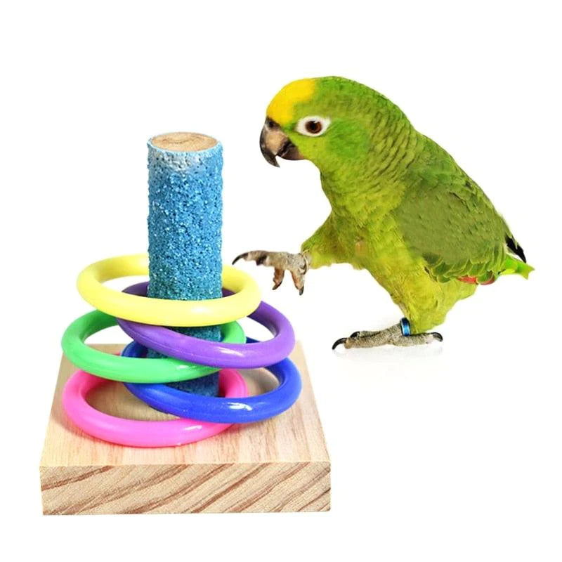 Brinquedo Educativo Para Aves - Caixa Favorita