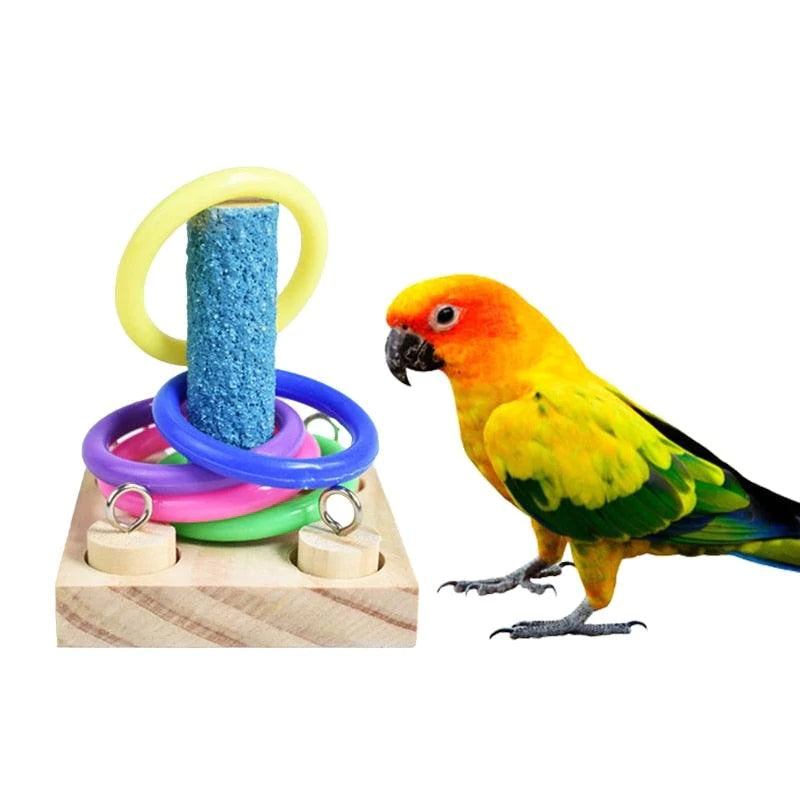 Brinquedo Educativo Para Aves - Caixa Favorita