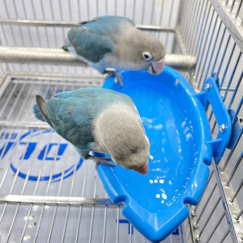 Banheira Para Pássaros - Caixa Favorita