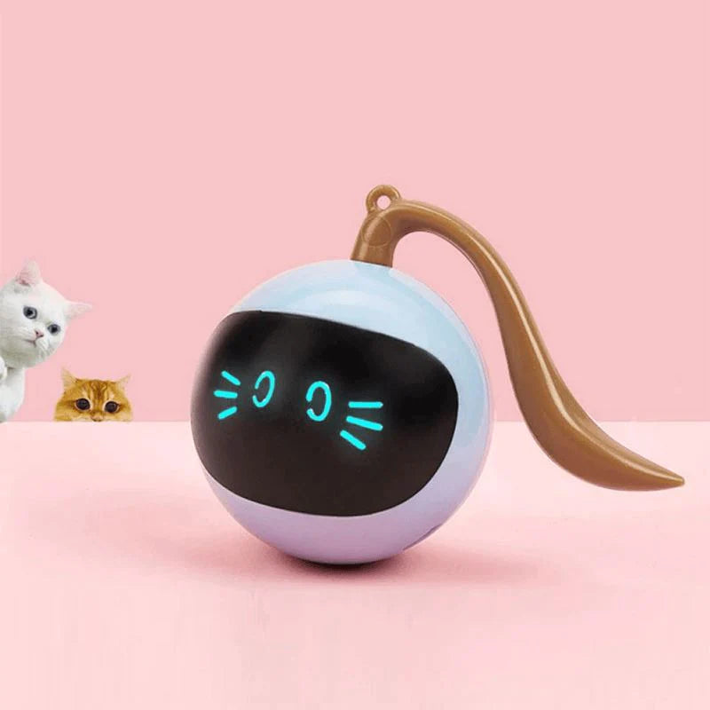 Bolinha Smart - Brinquedo Inteligente de Cães e Gatos - Caixa Favorita