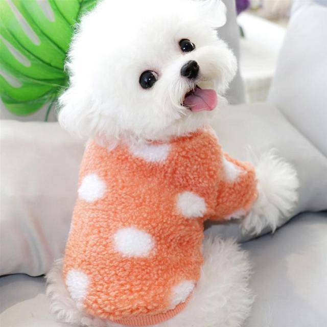 Suéter de lã para Cães Inverno Quente - COLEÇÃO INVERNO 2022 - Caixa Favorita