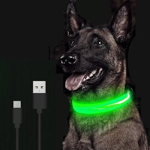 Coleira LED para Cachorro - Carregador USB - Caixa Favorita