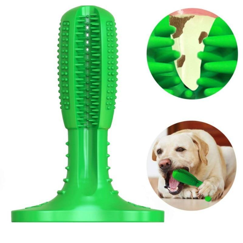 Escova de Dentes Massageadora para Cães - Caixa Favorita