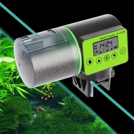 Alimentador automático para peixes - Tela de LCD - Caixa Favorita