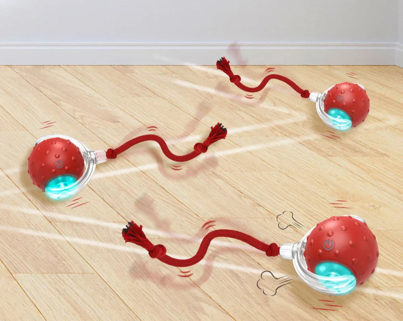 Bolinha Interativa com sensor Peludita - OFERTA RELÂMPAGO