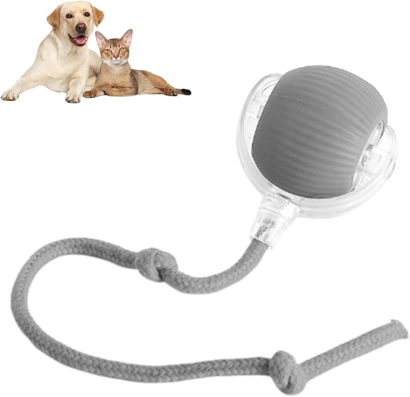Bolinha Interativa com sensor Peludita - OFERTA RELÂMPAGO