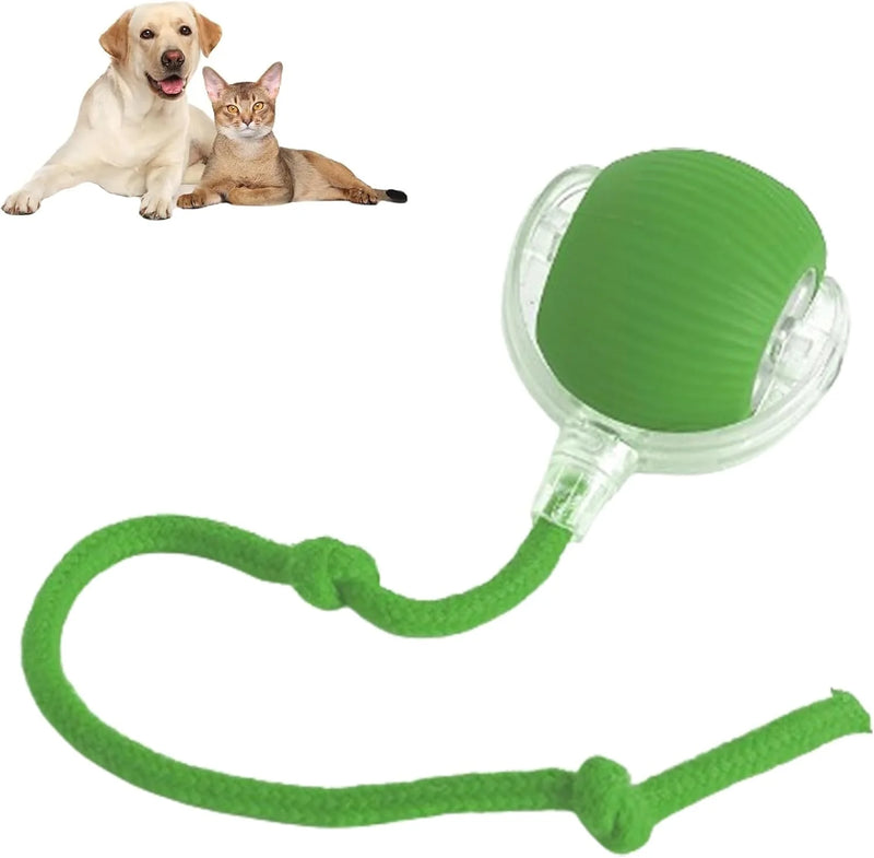 Bolinha Interativa com sensor Peludita - OFERTA RELÂMPAGO