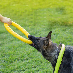 TitanRing Brinquedo para Cachorro Mega Resisntente