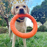 TitanRing Brinquedo para Cachorro Mega Resisntente