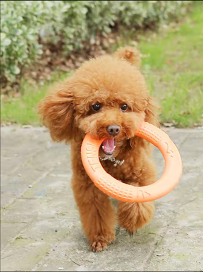 TitanRing Brinquedo para Cachorro Mega Resisntente