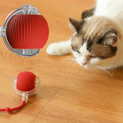 Bolinha Interativa com sensor Peludita - OFERTA RELÂMPAGO