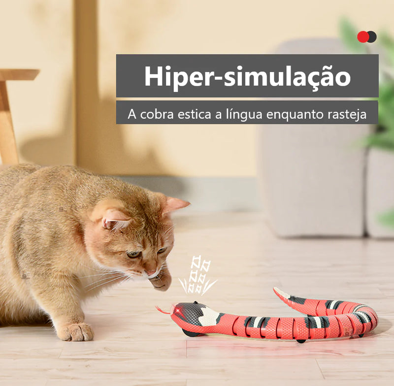 Brinquedo Simulador Cobrinha Gatos - Caixa Favorita