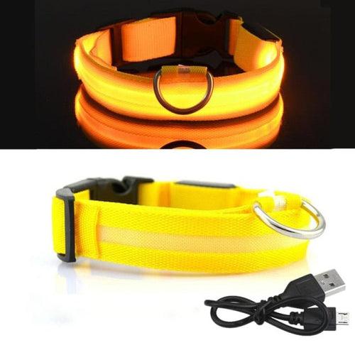 Coleira LED para Cachorro - Carregador USB - Caixa Favorita