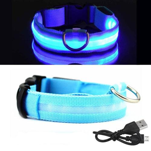 Coleira LED para Cachorro - Carregador USB - Caixa Favorita