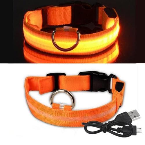 Coleira LED para Cachorro - Carregador USB - Caixa Favorita