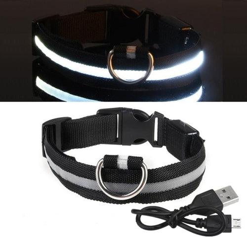 Coleira LED para Cachorro - Carregador USB - Caixa Favorita