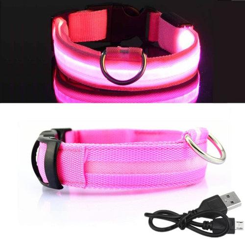 Coleira LED para Cachorro - Carregador USB - Caixa Favorita