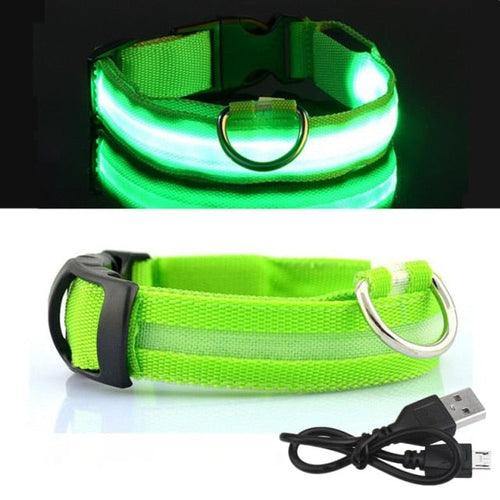 Coleira LED para Cachorro - Carregador USB - Caixa Favorita