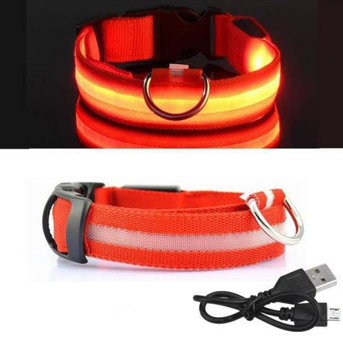 Coleira LED para Cachorro - Carregador USB - Caixa Favorita