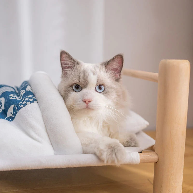 Cama Pet Doces Sonhos - Caixa Favorita