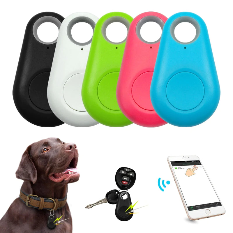 Rastreador Pet GPS Bluetooth (Alcance cerca de 25m) - Caixa Favorita