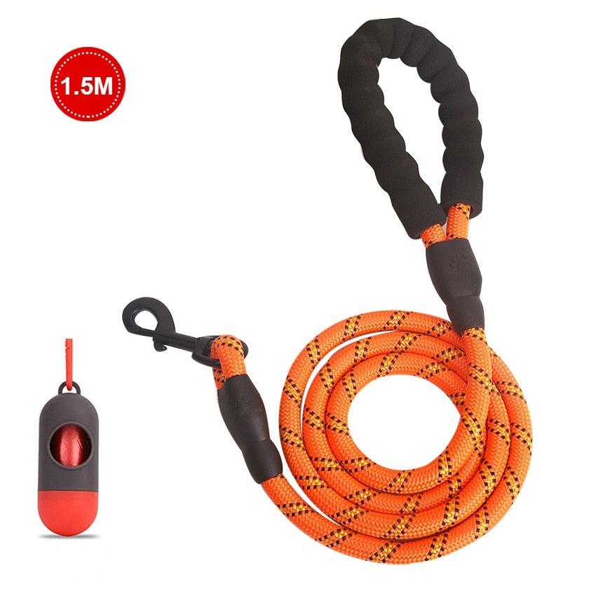 Guia para Cachorros - Dog Leash - Caixa Favorita