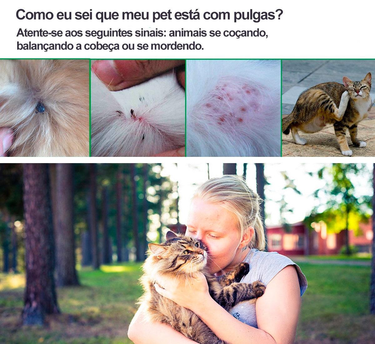 Coleira Antiparasitária Dewel - 8 meses de proteção p/ cães e gatos - Caixa Favorita