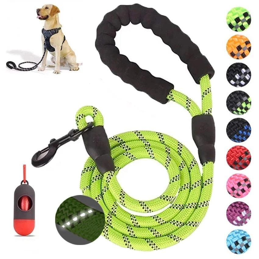 Guia para Cachorros - Dog Leash - Caixa Favorita