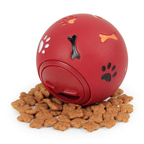 Bolinha Mastigador e Dispenser de Ração para Pets - Caixa Favorita