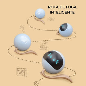 Bolinha Smart - Brinquedo Inteligente de Cães e Gatos - Caixa Favorita