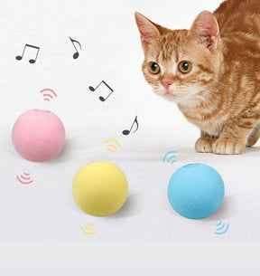 Bola Inteligente Brinquedo Interativo para Gatos e Cães - SMARTPETS - Caixa Favorita