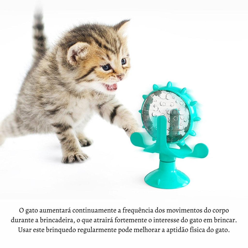 Compra online de Jogo interativo para cães, brinquedos para gatos