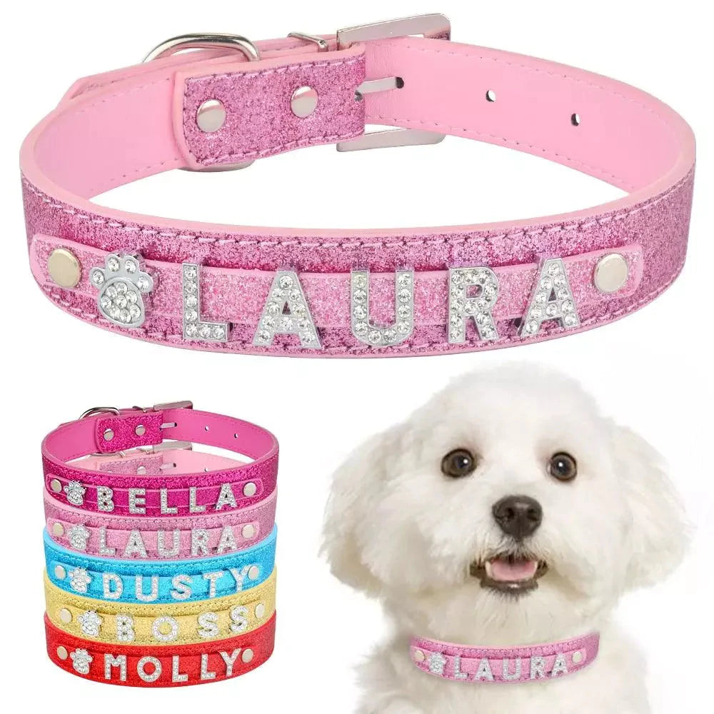 Coleira Personalizada Charms Para Cães e Gatos - Caixa Favorita