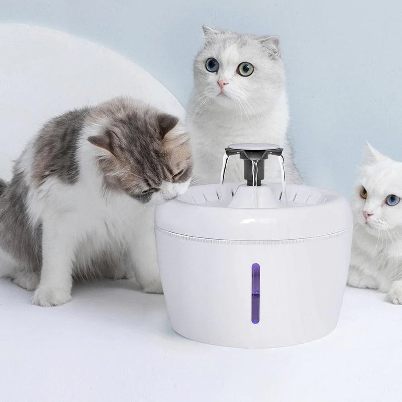 Fonte de Água 2.5L para gato e cão - Caixa Favorita